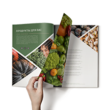 Дизайн и верстка