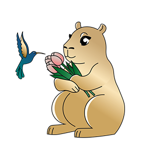 пример работы