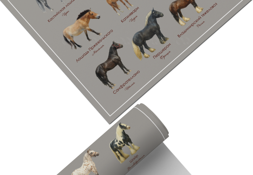 Постер Породы лошадей