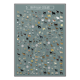 Породы собак