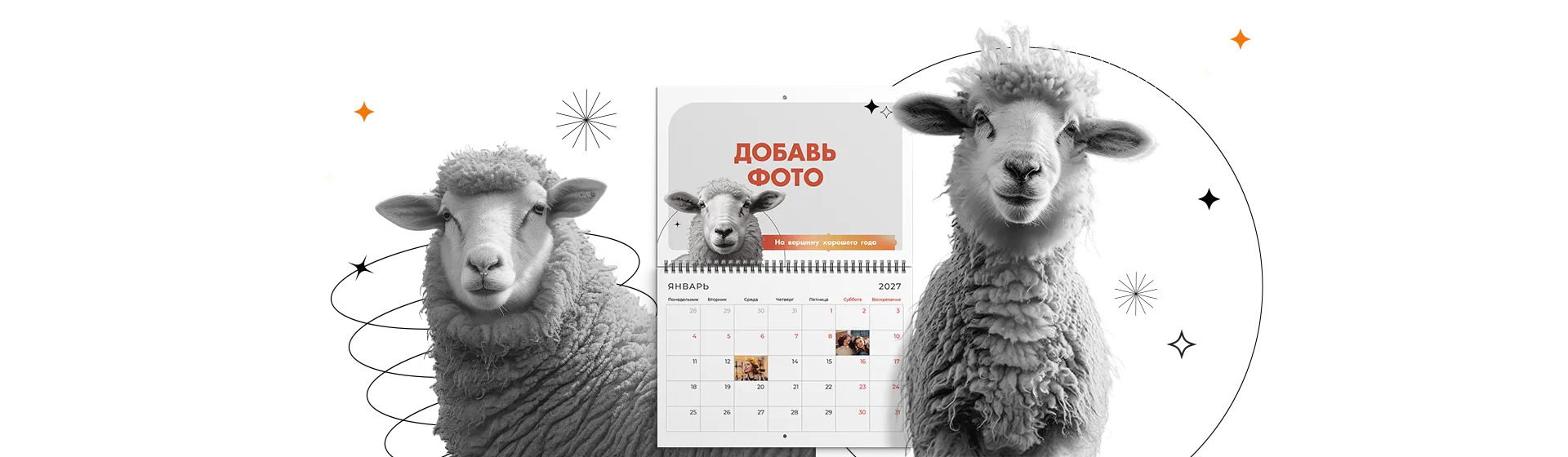 Овечность