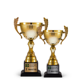 Наградная продукция