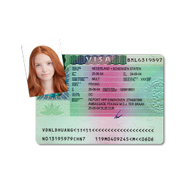 Виза и гринкард