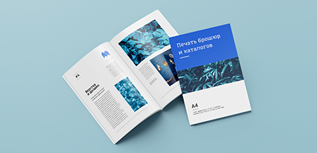 Брошюры и каталоги