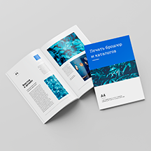 Брошюры и каталоги
